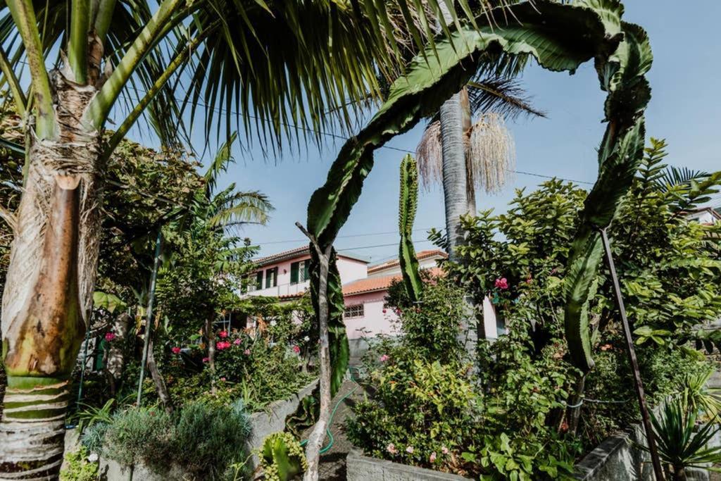 City View Gardens Funchal  Extérieur photo