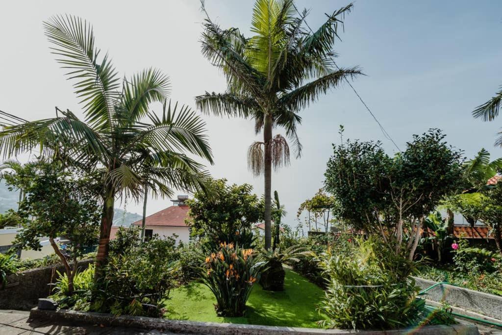 City View Gardens Funchal  Extérieur photo