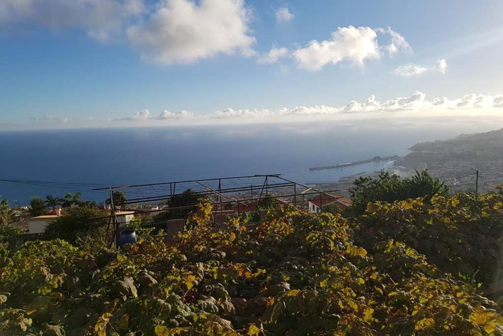 City View Gardens Funchal  Extérieur photo