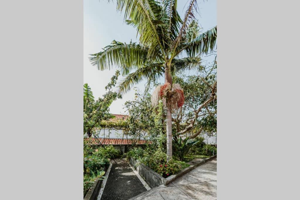 City View Gardens Funchal  Extérieur photo