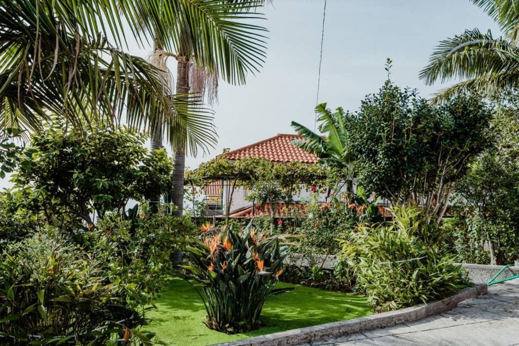 City View Gardens Funchal  Extérieur photo