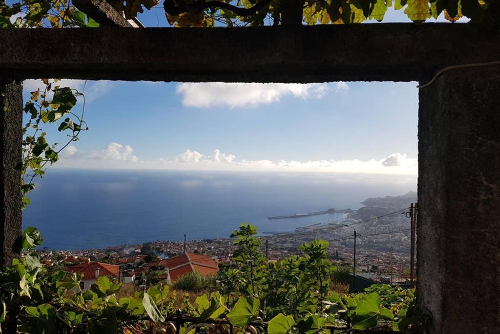 City View Gardens Funchal  Extérieur photo
